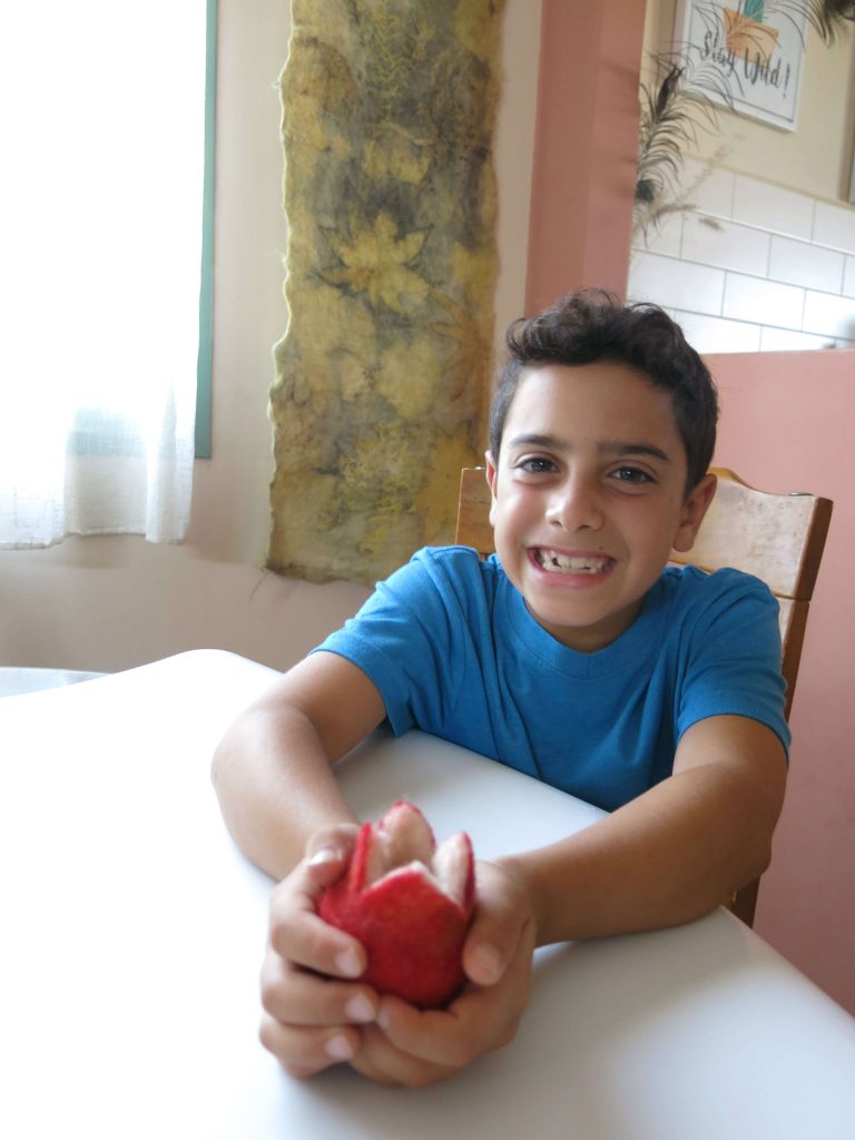 הכנת רימון